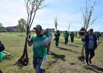 „Plantează în România a Plantat în comuna Cumpăna!” – O acțiune de amploare pentru un viitor verde!