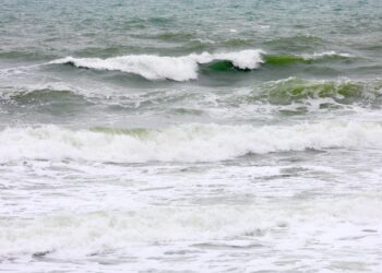 Cod galben de vânt, la Constanța