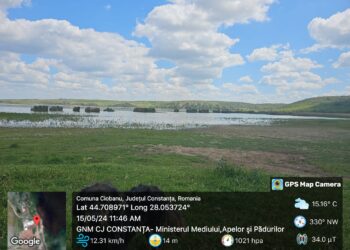 Garda de Mediu a amendat și suspendat activitatea unei societăți care se ocupă cu acvacultura