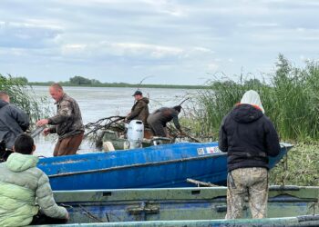 Delta Dunării: Canalele navigabile, curăţate de sălcii prăbuşite (FOTO)