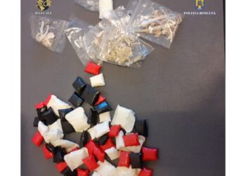 Traficant de droguri prins de polițiști la festival