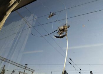 Huliganii revin: Sparg geamurile trenurilor și produc pagube imense!