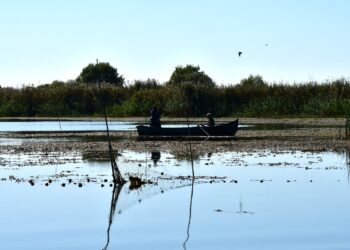 De mâine, se ridică prohibiția generală pentru pescuitul în scop comercial, recreativ/sportiv și familial