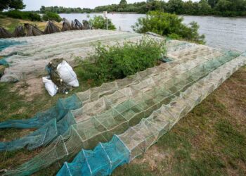 Ample acțiuni antibraconaj. Sancțiuni pe măsură