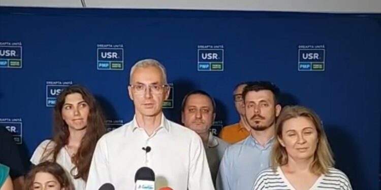 Sursa foto: captură video Facebook - Stelian Ion