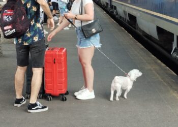 Decât Singur Acasă, mai bine cu mine, în tren