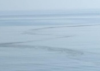 UPDATE: Alertă de poluare în Marea Neagră!