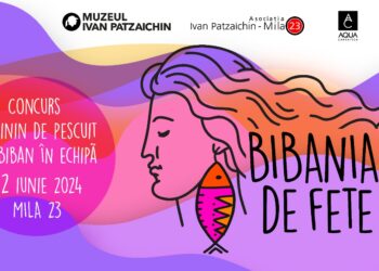 Bibaniada de fete de la Mila 23, la a patra ediție