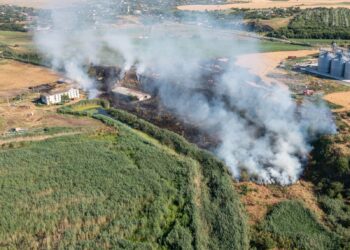 Incendiu la un lan grâu. Există risc de extindere la obiective economice