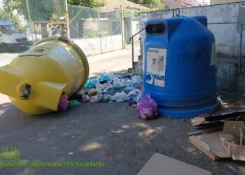 (FOTO) Noi cazuri de containere vandalizate și gunoaie lăsate la întâmplare, în apropierea pubelelor de gunoi