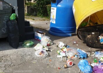 Alarmant! Tot mai multe containere pentru selectarea deșeurilor sunt vandalizate, la Constanța