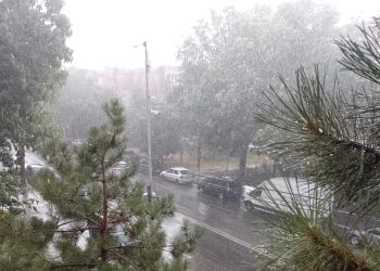 Cod galben de ploi în zona continentală a Dobrogei