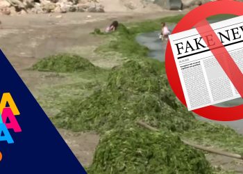 OMD Mamaia Constanța: Plajele din Mamaia sunt curate. Demontăm știrea falsă despre invazia algelor