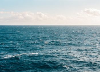 Continuă căutările persoanei dispărute în apa mării, la Neptun