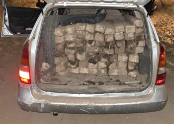 Prinși la furat de șpalieri, în Murfatlar