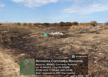Amenzi de 30.000 lei date de Garda de Mediu Constanța, în urma incendiilor de vegetație din Amzacea