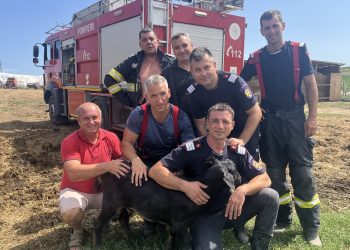Misiune atipică pentru pompierii tulceni! O căpriță a fost salvată dintr-o fântână adâncă de 20 de metri