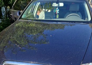 Artificiile au pus pe jar poliția din Vama Veche