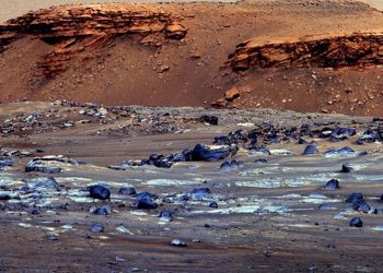 Un nou premiu important, obținut de elevii Colegiului Național “Mircea cel Bătrân”, la un concurs internațional