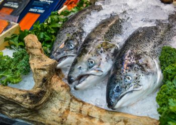 Controalele pentru prevenirea toxiinfecţiilor alimentare, intensificate în minivacanţa de Sfânta Maria