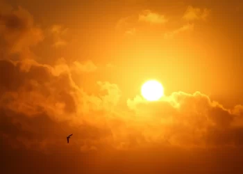 România se topește sub soarele arzător. Noi coduri de caniculă emise de meteorologi