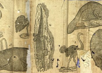 Acord de colaborare între Academia Română şi Academia Bulgară de Ştiinţe, urmat de expoziția primului Abecedar cu pești