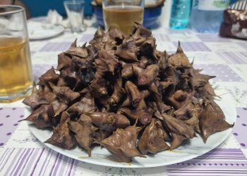 Ciulinii de baltă – delicatesa mai puțin cunoscută din Delta Dunării