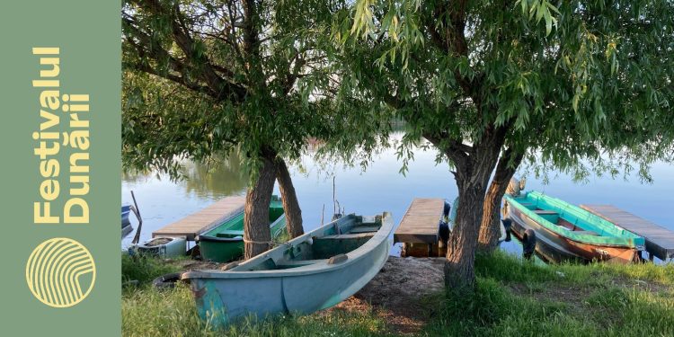 Sursa foto: Asociația Mai Mult Verde