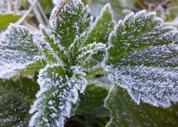 Început de toamnă cu temperaturi extreme. La Miercurea-Ciuc termometrul a arătat minus 0,4 grade Celsius