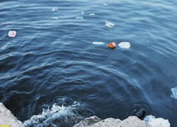 Tulcea, fruntașă la procentul de deșeuri reciclabile colectate. Delta Dunării rămâne mult în urma județului