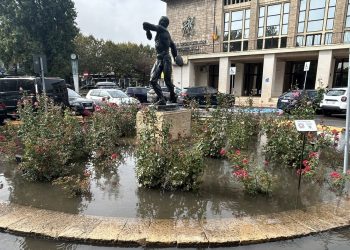 “Aruncătorul cu discul” de lângă Sala Sporturilor a intrat… la apă (FOTO) 