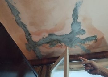 Opera unei constănțence: Reparând tavanul, a „desenat” un cățel!