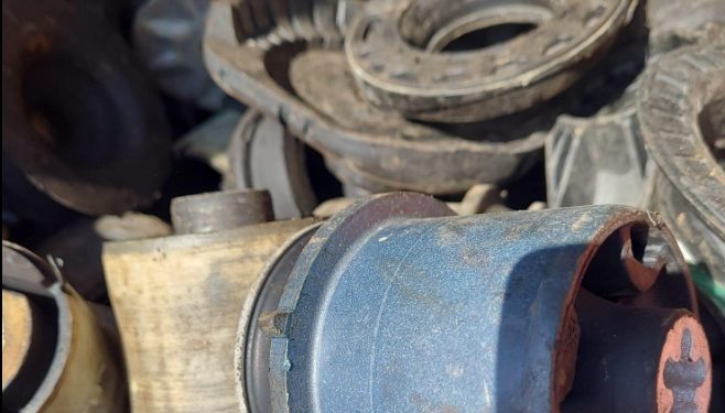 Sursa foto: Garda de Mediu Constanța