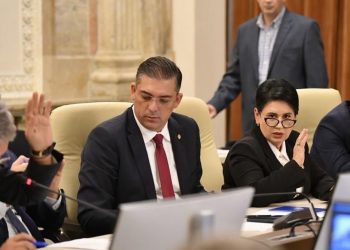 Ședință a Parlamentului pentru numirea membrilor consiliilor de administrație ale BNR și ASF