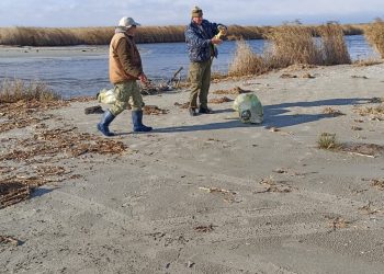 Amplă acțiune de ecologizare în mai multe zone din Delta Dunării