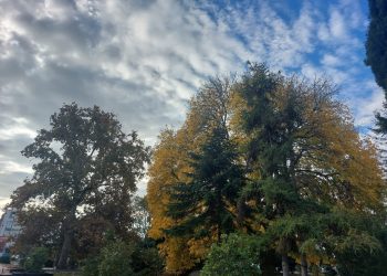 Prognoza meteo pentru următoarele 4 săptămâni