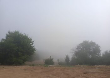 Cod galben de ceață în Dobrogea