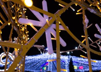 Târgul de Crăciun din Tulcea se deschide astăzi 