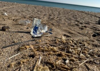 ONG Mare Nostrum a încheiat sesiunea de monitorizare a deșeurilor. Sectorul de plajă din Năvodari, cel mai murdar