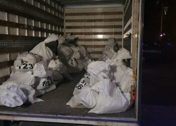 Cele mai multe tentative de fraudă electorală, la Constanța