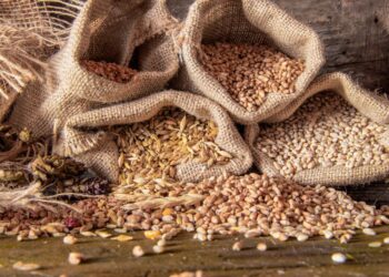 Exporturile de cereale ale UE au scăzut cu o treime în acest sezon. România este cel mai mare exportator