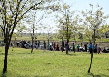 Continuă acțiunile de plantare pentru un viitor verde în comuna Cumpăna