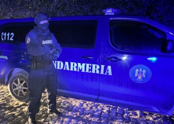 Lovirea sau alte violențe, faptă sancționată de jandarmii tulceni în weekend