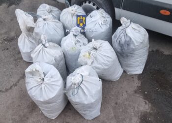 Polițiștii din Tulcea au confiscat peste 9,5 tone de pește și bunuri de aproximativ 236.000 lei