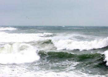 Cod galben de intensificări ale vântului la Constanța! 