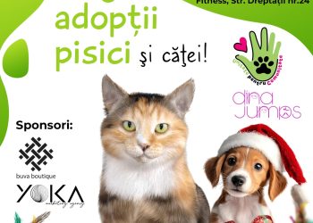 Un nou târg de adopții, la Constanța: “Crăciunul este mai fericit în familie!”