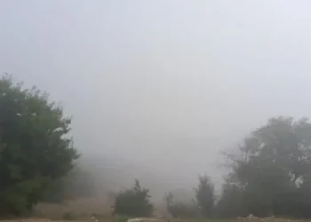 Dimineață sub cod galben de ceață în județul Constanța 