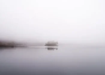 Cod galben de ceață în județul Tulcea