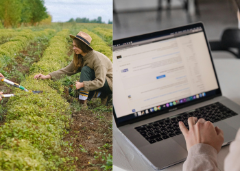 Apocalipsa joburilor: Care sunt cele mai vulnerabile și cele mai căutate profesii în România, în 2025?