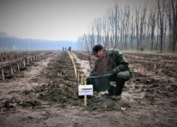 Venituri de aproape 6,6 milioane de euro din activităţi cinegetice, piscicultură şi valorificarea produselor pădurii  